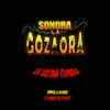 Sonora la Gozaora - Según Tú Punto de Vista - Single